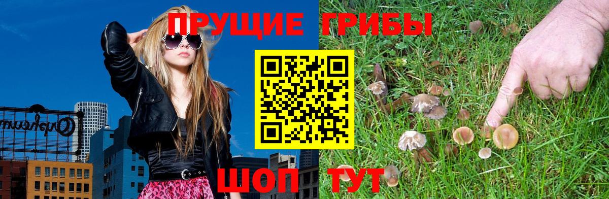 Галлюциногенные грибы мухоморы  Вход с VPN  Галлюциногенные грибы ЛСД  Сочи 